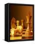 Chess Pieces-Matthias Kulka-Framed Stretched Canvas