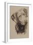 Chessapeake Bay Retriever-Barbara Keith-Framed Giclee Print