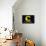 Chessie Systems Logo-null-Framed Stretched Canvas displayed on a wall