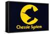 Chessie Systems Logo-null-Framed Stretched Canvas