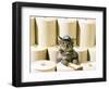 Chessie Taking Inventory-null-Framed Giclee Print