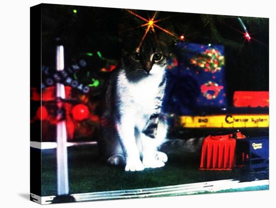 Chessie under the Christmas Tree-null-Stretched Canvas