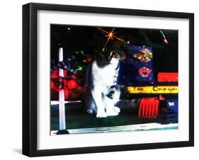 Chessie under the Christmas Tree-null-Framed Giclee Print