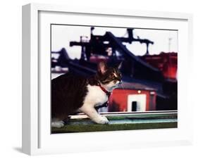 Chessie-null-Framed Giclee Print