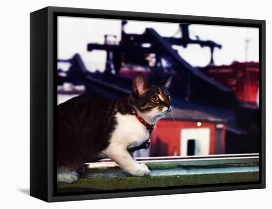 Chessie-null-Framed Stretched Canvas