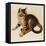 Chessie-Guido Gruenwald-Framed Stretched Canvas