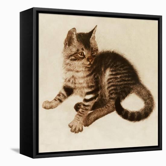 Chessie-Guido Gruenwald-Framed Stretched Canvas