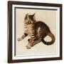 Chessie-Guido Gruenwald-Framed Giclee Print