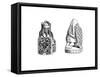 Chessmen, 12th Century-Henry Shaw-Framed Stretched Canvas