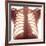 Chest X-ray of a Healhty Human Heart-Science Photo Library-Framed Photographic Print