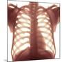 Chest X-ray of a Healhty Human Heart-Science Photo Library-Mounted Photographic Print