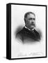 Chester Alan Arthur, President of the United States-null-Framed Stretched Canvas