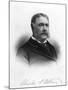 Chester Alan Arthur, President of the United States-null-Mounted Photographic Print