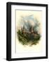 Chester Cathedral, North East-Arthur Wilde Parsons-Framed Art Print