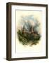 Chester Cathedral, North East-Arthur Wilde Parsons-Framed Art Print