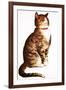 Chester Peake-Charles Bracker-Framed Giclee Print