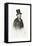 Chesterfield, Top Hat-Joseph Brown-Framed Stretched Canvas