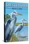 Chestertown, Maryland - Blue Herons in Marsh-Lantern Press-Stretched Canvas