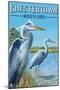 Chestertown, Maryland - Blue Herons in Marsh-Lantern Press-Mounted Art Print