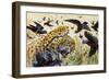 Chestnut-Bellied Helmetshrike (Prionops Caniceps), Malaconotidae-null-Framed Giclee Print