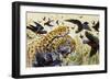 Chestnut-Bellied Helmetshrike (Prionops Caniceps), Malaconotidae-null-Framed Giclee Print