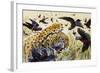 Chestnut-Bellied Helmetshrike (Prionops Caniceps), Malaconotidae-null-Framed Giclee Print