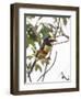 Chestnut-Eared Aracari Feeding on Fruits at Iguacu National Park, Brazil-Alex Saberi-Framed Premium Photographic Print