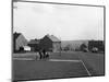 Chestnut Grove, Conisborough, South Yorkshire, 1964-Michael Walters-Mounted Photographic Print