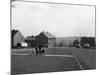 Chestnut Grove, Conisborough, South Yorkshire, 1964-Michael Walters-Mounted Photographic Print