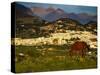 Chestnut horse grazing in the campo (countryside) with Frigiliana and the mountains of the Sierr...-Panoramic Images-Stretched Canvas