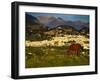 Chestnut horse grazing in the campo (countryside) with Frigiliana and the mountains of the Sierr...-Panoramic Images-Framed Photographic Print