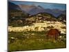 Chestnut horse grazing in the campo (countryside) with Frigiliana and the mountains of the Sierr...-Panoramic Images-Mounted Photographic Print