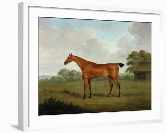 Chestnut Horse in a Landscape, 1815-John Nott Sartorius-Framed Giclee Print