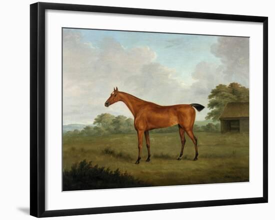 Chestnut Horse in a Landscape, 1815-John Nott Sartorius-Framed Giclee Print