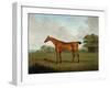 Chestnut Horse in a Landscape, 1815-John Nott Sartorius-Framed Giclee Print