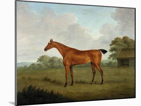 Chestnut Horse in a Landscape, 1815-John Nott Sartorius-Mounted Giclee Print