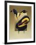 Chestnut-Mandibled Toucans-Harro Maass-Framed Giclee Print