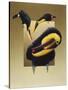 Chestnut-Mandibled Toucans-Harro Maass-Stretched Canvas