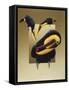 Chestnut-Mandibled Toucans-Harro Maass-Framed Stretched Canvas