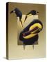 Chestnut-Mandibled Toucans-Harro Maass-Stretched Canvas