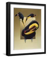 Chestnut-Mandibled Toucans-Harro Maass-Framed Giclee Print