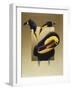 Chestnut-Mandibled Toucans-Harro Maass-Framed Giclee Print