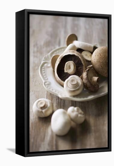 Chestnut Mushrooms and White Button Mushrooms-Dirk Pieters-Framed Stretched Canvas