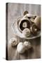 Chestnut Mushrooms and White Button Mushrooms-Dirk Pieters-Stretched Canvas