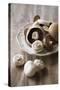 Chestnut Mushrooms and White Button Mushrooms-Dirk Pieters-Stretched Canvas