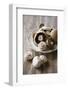 Chestnut Mushrooms and White Button Mushrooms-Dirk Pieters-Framed Photographic Print