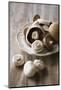 Chestnut Mushrooms and White Button Mushrooms-Dirk Pieters-Mounted Photographic Print