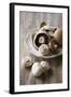 Chestnut Mushrooms and White Button Mushrooms-Dirk Pieters-Framed Photographic Print