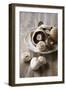 Chestnut Mushrooms and White Button Mushrooms-Dirk Pieters-Framed Photographic Print