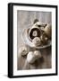 Chestnut Mushrooms and White Button Mushrooms-Dirk Pieters-Framed Photographic Print